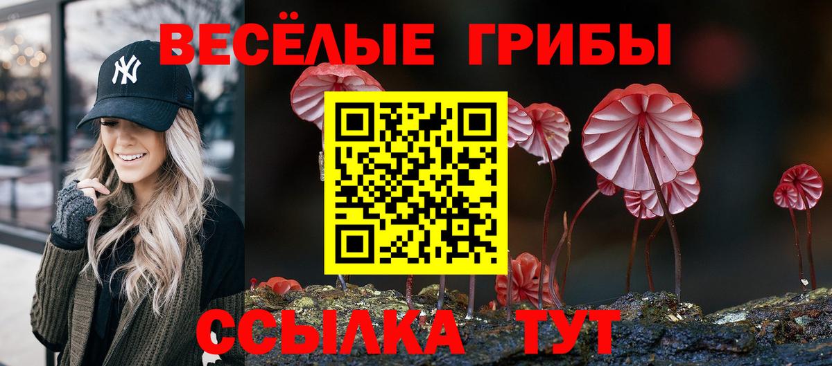 Галлюциногенные грибы Psilocybine cubensis Горячий Ключ