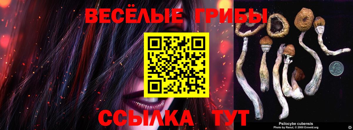 Псилоцибиновые грибы мухоморы  Вход с VPN  Горячий Ключ 